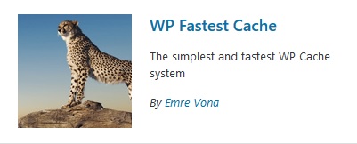 wp fastest cache wordpress plugin